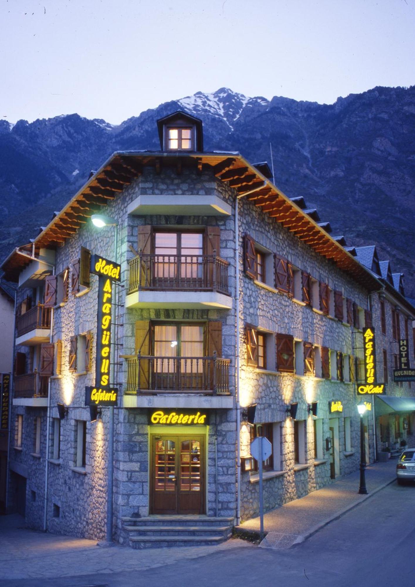 Hotel Aragueells Benasque Dış mekan fotoğraf